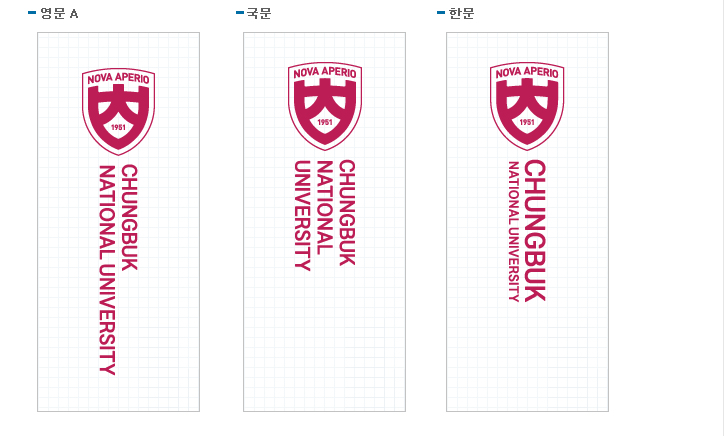 충북대학교 영문마크