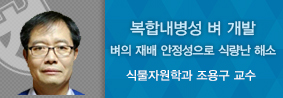 식물자원학과 조용구 교수, ‘복합 내병성 벼’ 개발의 사진