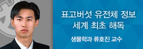 생물학과 류호진 교수 연구팀, 표고버섯 유전체 정보 세계 최초 해독의 사진