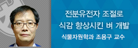 식물자원학과 조용구 교수, 전분 유전자 조절로 식감 향상시킨 벼 개발의 사진