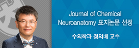 수의학과 정의배 교수, Journal of Chemical Neuroanatomy 4월호 표지논문 선정의 사진