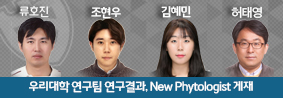 우리대학 공동연구팀 연구결과, New Phytologist 게재의 사진