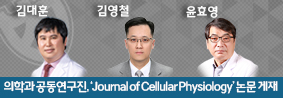 의학과 공동연구진, ‘Journal of Cellular Physiology’ 논문 게재의 사진