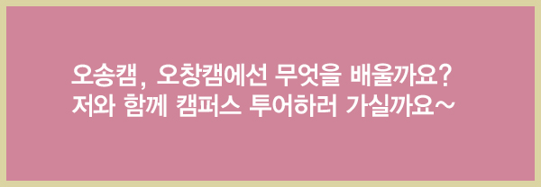 [청춘의배낭] 오송캠, 오창캠에선 무엇을 배울까요?의 사진