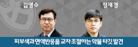 약대 김영수, 정재경 교수 연구팀, 피부색과 면역반응을 교차 조절하는 약물 타깃 발견의 사진